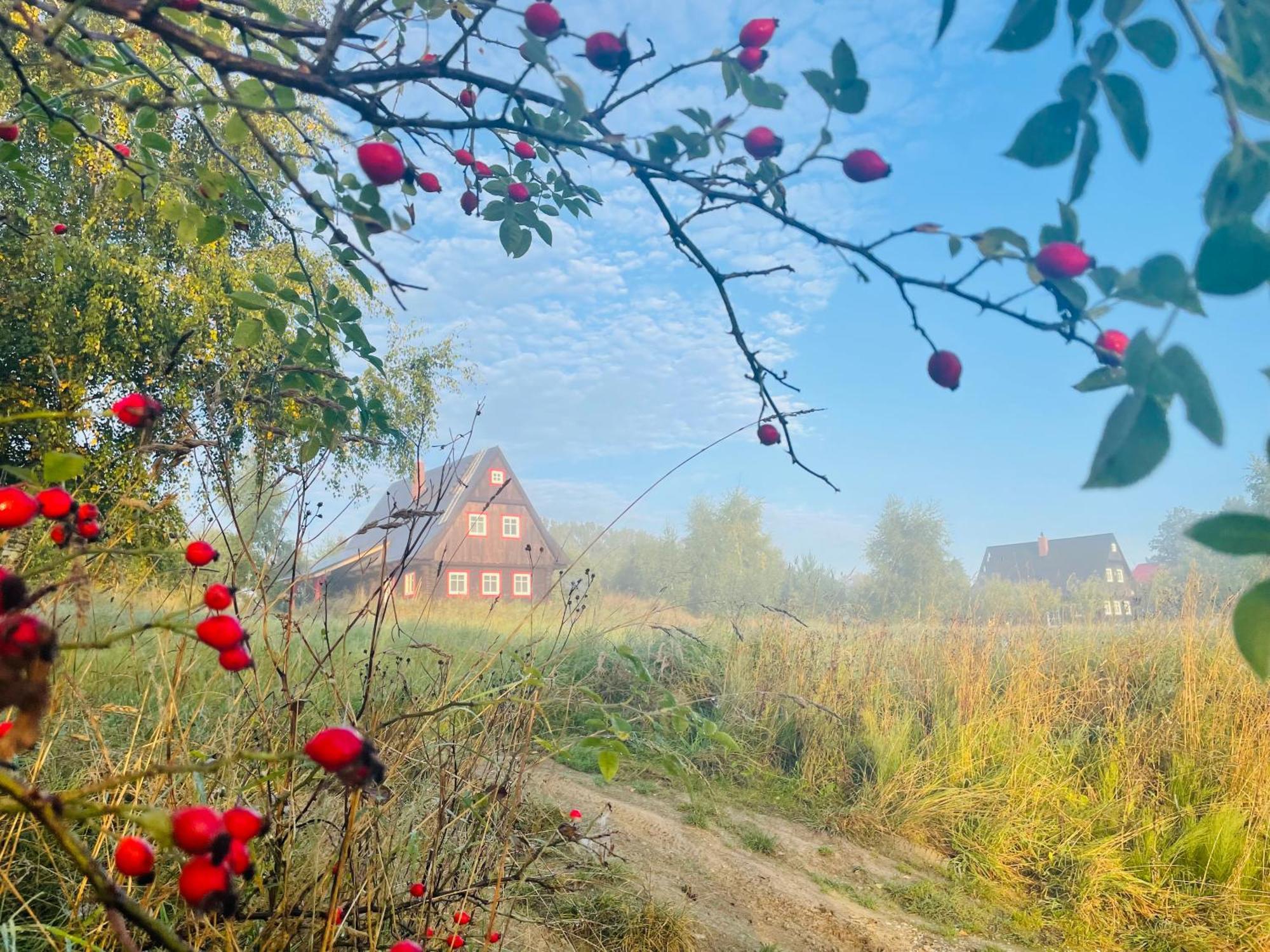 Chata Waliszow Nowy Waliszow Exterior photo